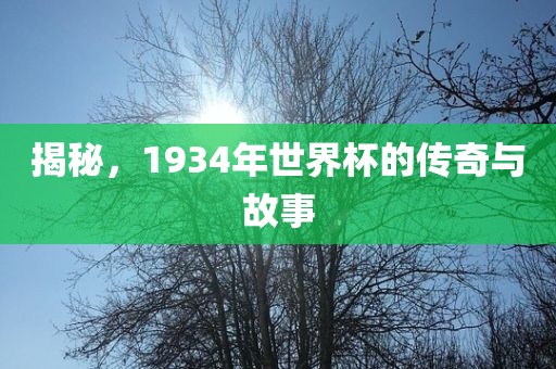 揭秘,1934年世界杯的传奇与故事