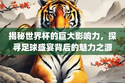 揭秘世界杯的巨大影响力,探寻足球盛宴背后的魅力之源广州熙林手袋有限公司