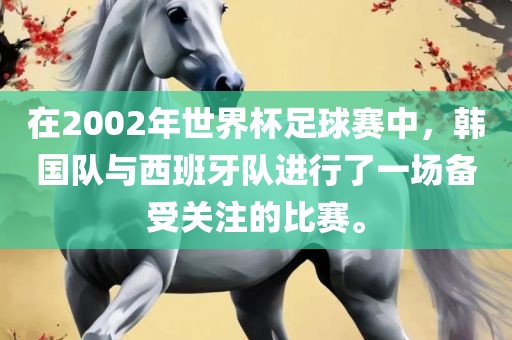 在2002年世界杯足球赛中,韩国队与西班牙队进行了一场备受关注的比赛。