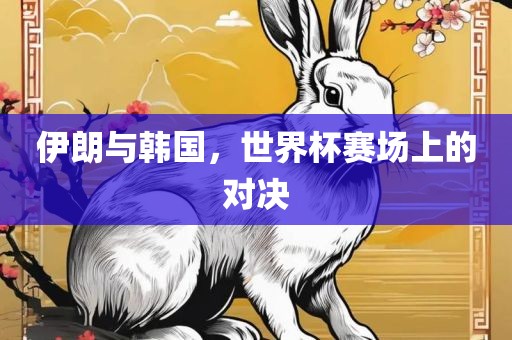 伊朗与韩国,世界杯赛场上的对决广州熙林手袋有限公司