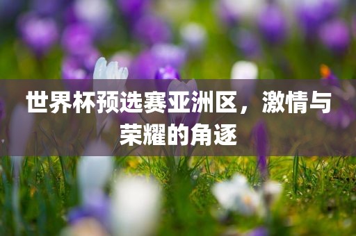 世界杯预选赛亚洲区,激情与荣耀的角逐