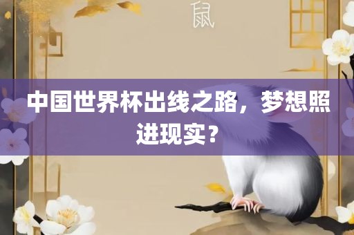 中国世界杯出线之路,梦想照进现实?