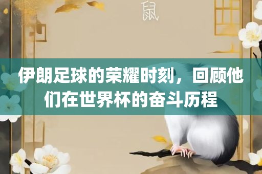 伊朗足球的荣耀时刻,回顾他们在世界杯的奋斗历程广州熙林手袋有限公司