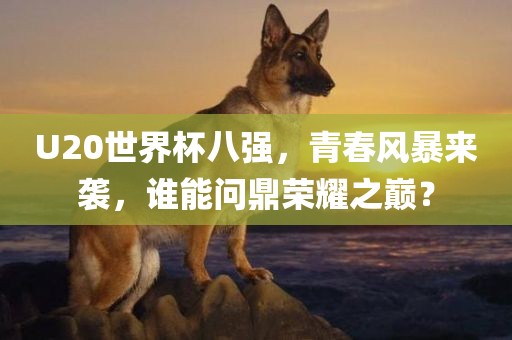 U20世界杯八强,青春风暴来袭,谁能问鼎荣耀之巅?