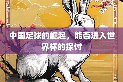 中国足球的崛起，能否进入世界杯的探讨广州熙林手袋有限公司