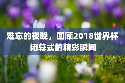 难忘的夜晚,回顾2018世界杯闭幕式的精彩瞬间广州熙林手袋有限公司