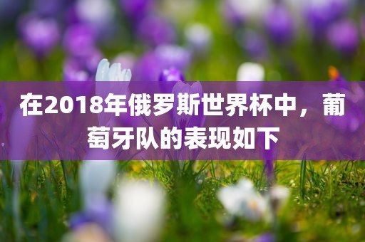 在2018年俄罗斯世界杯中，葡萄牙队的表现如下