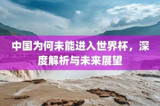 中国为何未能进入世界杯,深度解析与未来展望