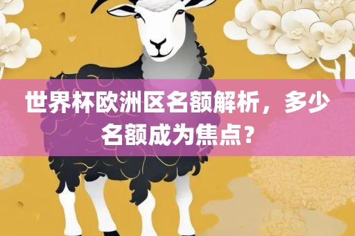 世界杯欧洲区名额解析，多少名额成为焦点？