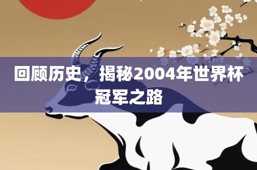 回顾历史，揭秘2004年世界杯冠军之路