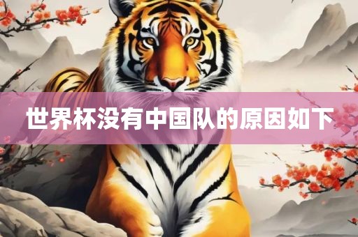 世界杯没有中国队的原因如下广州熙林手袋有限公司