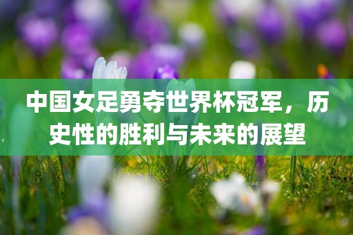 中国女足勇夺世界杯冠军,历史性的胜利与未来的展望