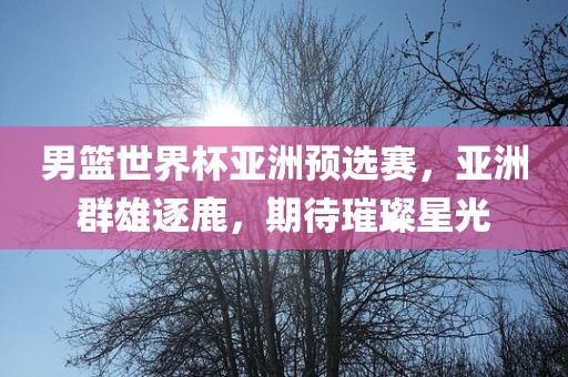 男篮世界杯亚洲预选赛,亚洲群雄逐鹿广州熙林手袋有限公司,期待璀璨星光