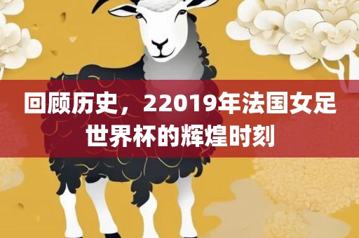 回顾历史,22019年法国女足世界杯的辉煌时刻