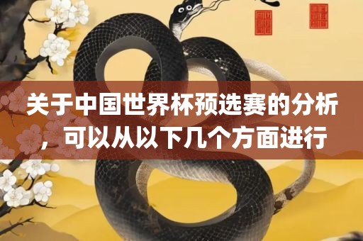 关于中国世界杯预选赛的分析，可以从以下几个方面进行