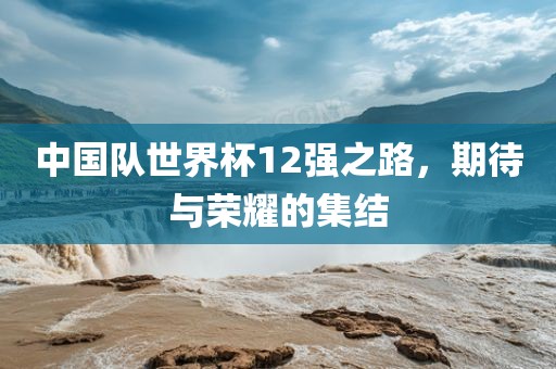 中国队世界杯12强之路,期待与荣耀的集结广州熙林手袋有限公司
