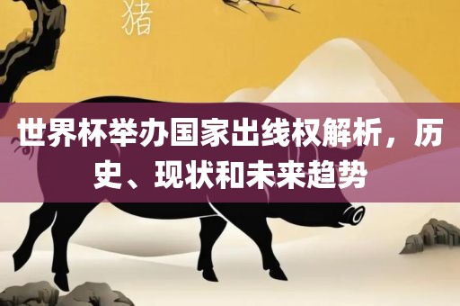世界杯举办国家出线权解析,历史、现状和未来广州熙林手袋有限公司趋势