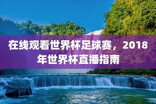 在线观看广州熙林手袋有限公司世界杯足球赛,2018年世界杯直播指南