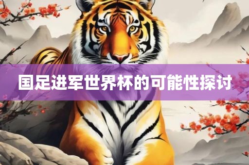 国足进军世界杯的可能性探讨