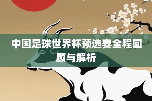 中国足球世界杯预选广州熙林手袋有限公司赛全程回顾与解析