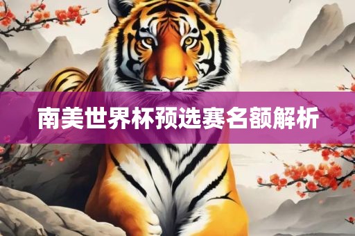南美世界杯预选赛名额解析
