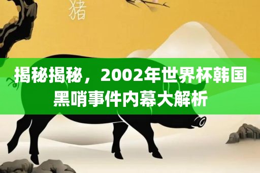 揭秘揭秘,2002年世界杯韩国黑哨事件内幕大解析