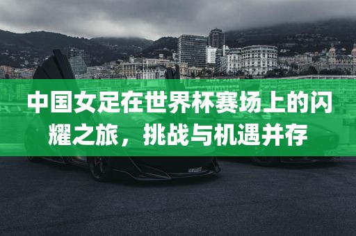 中国女足在世界杯赛场上的闪耀之旅,挑战与机遇并存