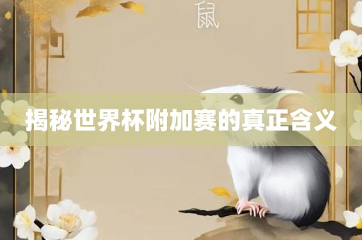 揭秘世界杯附加赛的真正含义