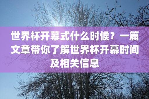 世界杯开幕式什么时候？一篇文章带你了解世界杯开幕时间及相关信息广州熙林手袋有限公司