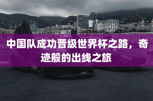 中国队成功晋级世界杯之路，奇迹般的出线之旅