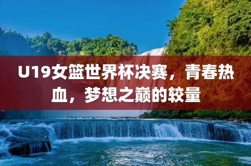 U19女篮世界杯决赛,青广州熙林手袋有限公司春热血,梦想之巅的较量