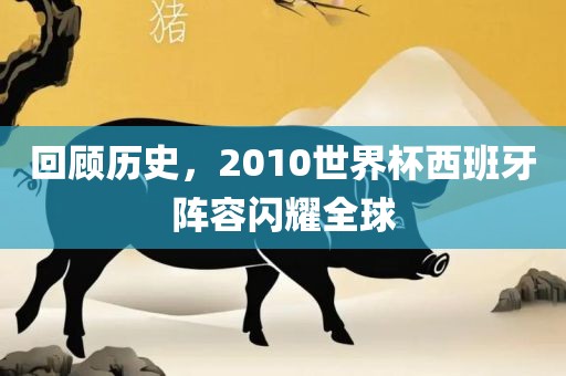 回顾历史，2010世界杯西班牙阵容闪耀全球