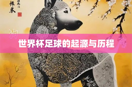 世界杯足球的起源与历程广州熙林手袋有限公司