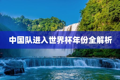 中国队进入世界杯年份全解析