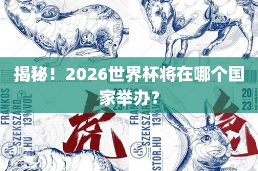 揭秘!2026世界杯将在哪个国家举办?广州熙林手袋有限公司