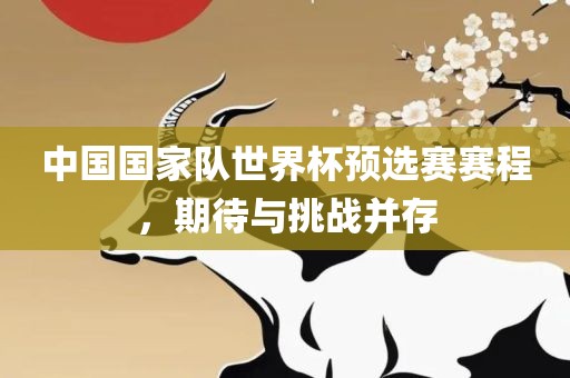 中国国家队世界广州熙林手袋有限公司杯预选赛赛程,期待与挑战并存