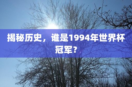 揭秘历史，谁是1994年世界杯冠军？
