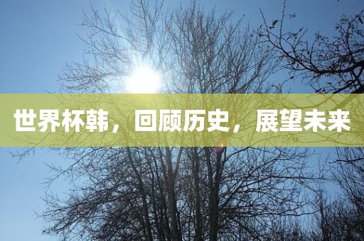 世界杯韩,回顾历史,展望未来