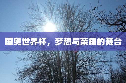 国奥世界杯，梦想与荣耀的舞台