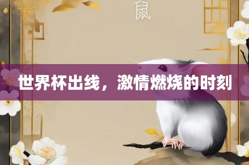 世界杯出线，激情燃烧的时刻