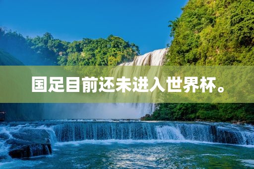 国足目前还未进入世界杯。