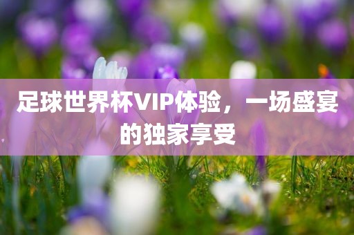 足球世界杯VIP体验,一场盛宴的独家享受广州熙林手袋有限公司