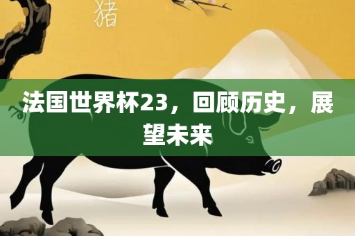 法国世界杯23,回顾历史,展望未来