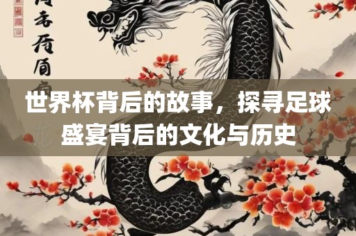 世界杯背后的故事,探寻足球盛宴背后的文化与历史广州熙林手袋有限公司