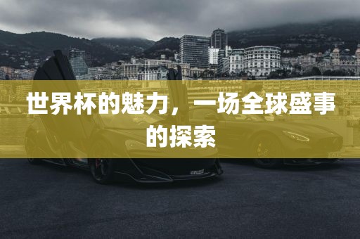 世广州熙林手袋有限公司界杯的魅力,一场全球盛事的探索