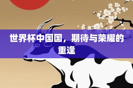 世界杯中国国，期待与荣耀的重逢