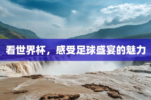 看世界杯,感受足球盛宴的魅力广州熙林手袋有限公司