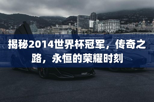 揭秘2014世界杯冠军,传奇之路,广州熙林手袋有限公司永恒的荣耀时刻