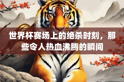 世界杯赛场上的绝杀时刻,那些令人热血沸腾的瞬间广州熙林手袋有限公司