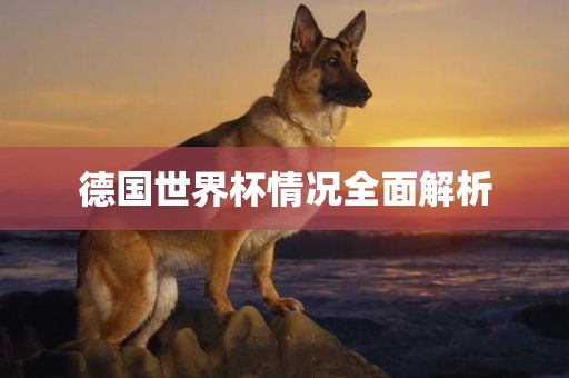 德国世界杯情况全面解析